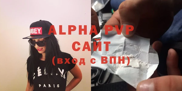 стафф Бородино