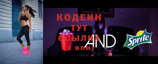 стафф Бородино