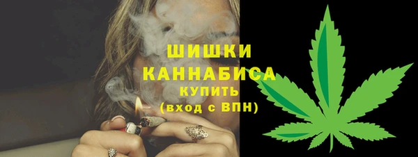 стафф Бородино