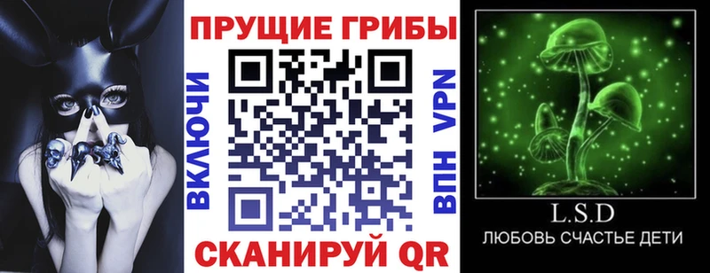 Галлюциногенные грибы Psilocybine cubensis  mega ССЫЛКА  Кимовск  цены наркотик 